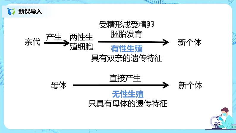 人教版（新课标）生物八下：7.1.1《植物的生殖》课件（送教案+习题）07