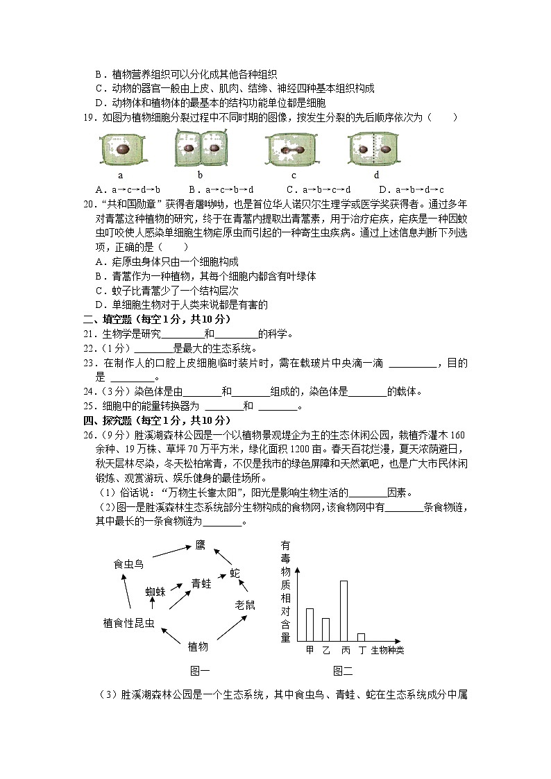 山西省临汾市侯马市2021-2022学年七年级上学期期中生物试卷（Word版含答案）第3页