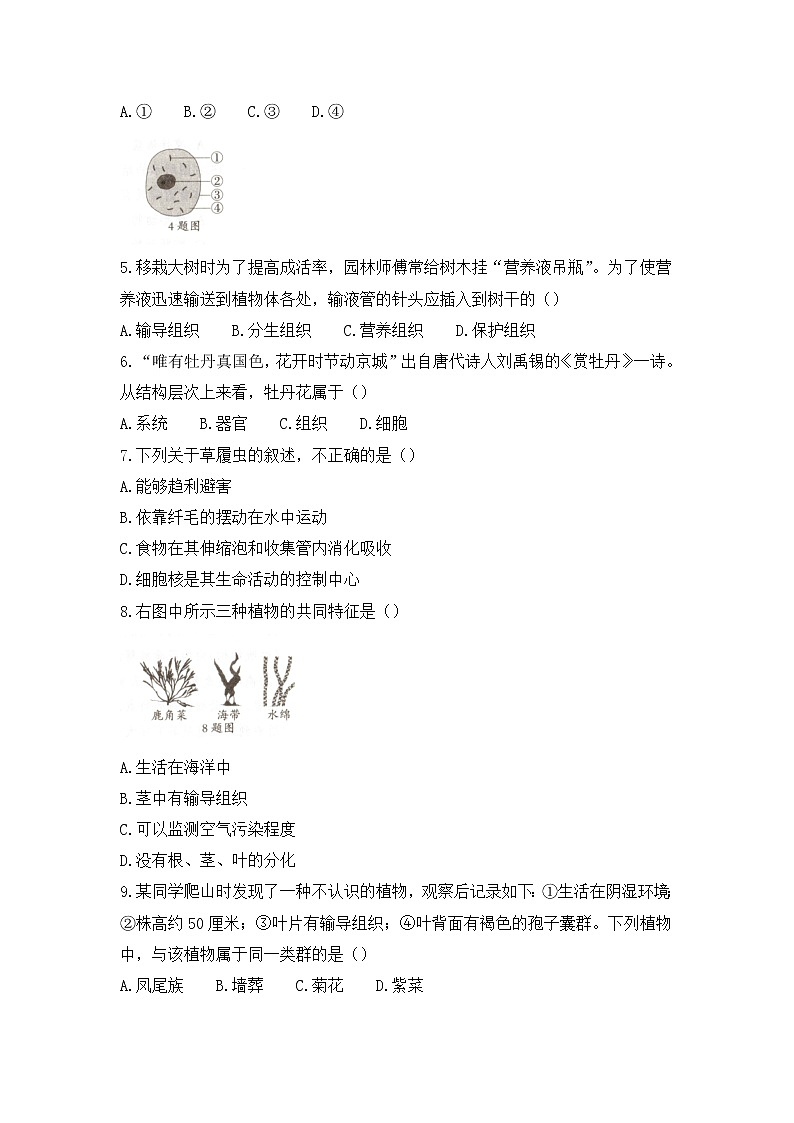 河北省邯郸市广平县第二中学2021-2022学年七年级上学期第三次月考生物试题（Word版含答案）第2页