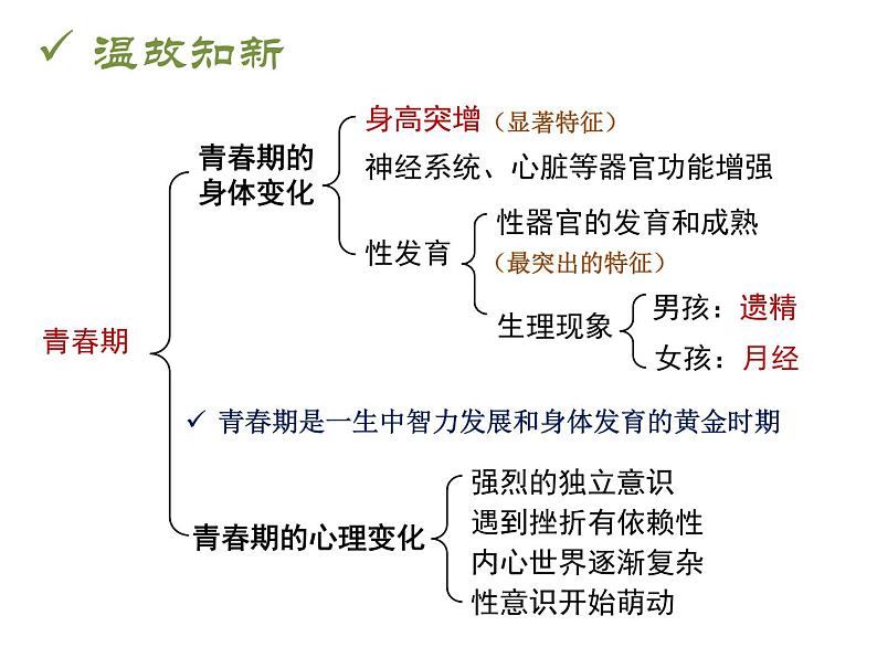 4.2.1 食物中的营养物质 课件+教案+练习  人教版七年级生物下册01