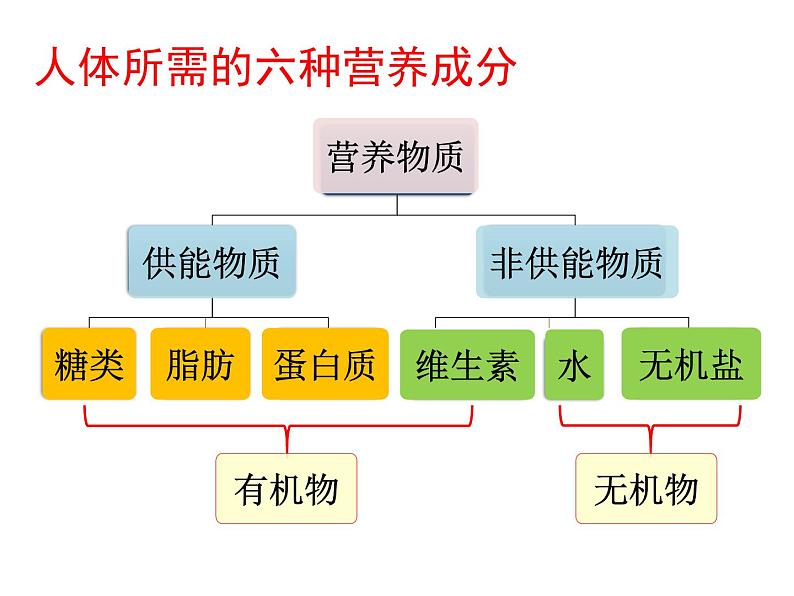 4.2.1 食物中的营养物质 课件+教案+练习  人教版七年级生物下册06