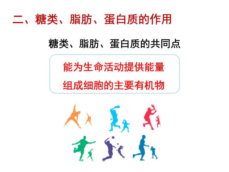 4.2.1 食物中的营养物质 课件+教案+练习  人教版七年级生物下册07