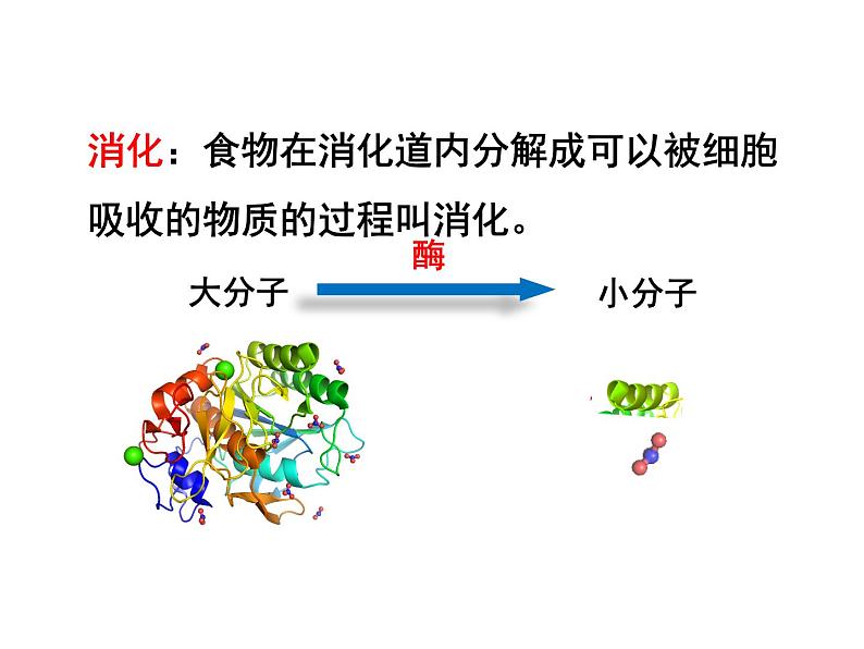 4.2.2 消化和吸收1——食物的消化 课件 2021-2022学年人教版七年级生物下册第4页