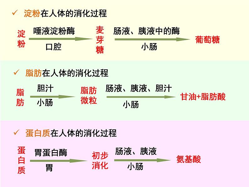 4.3.1 呼吸道对空气的处理 课件+教案+练习  人教版七年级生物下册01