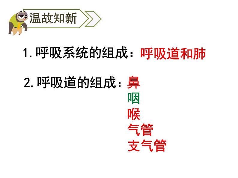 4.3.2 发生在肺内的气体交换 课件+教案+练习  人教版七年级生物下册02