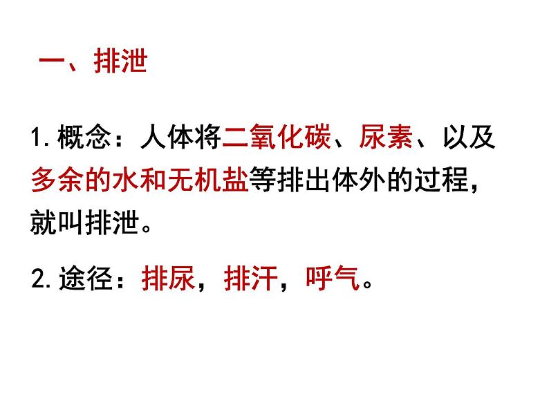 4.5人体内废物的排出 课件+教案+练习  人教版七年级生物下册05