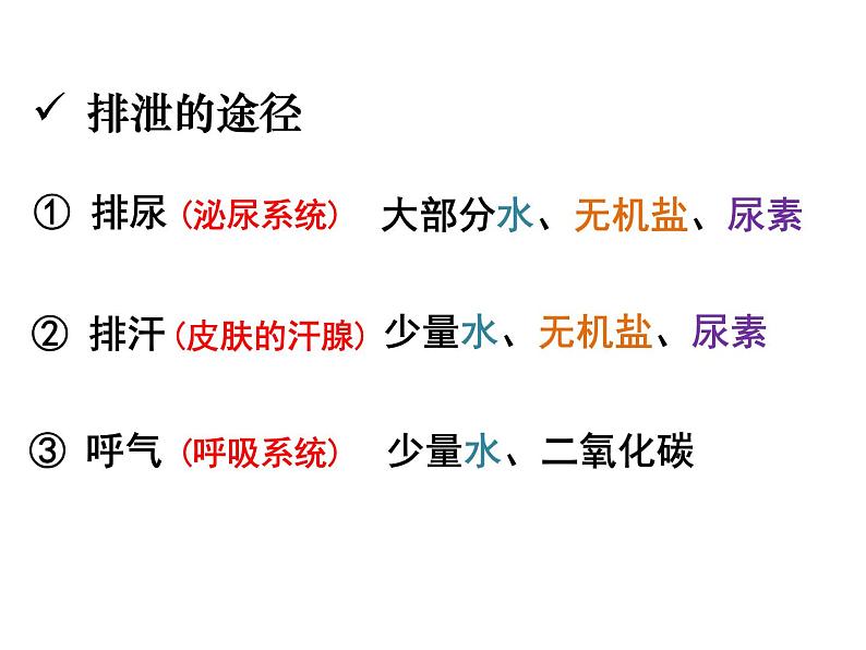 4.5人体内废物的排出 课件+教案+练习  人教版七年级生物下册06