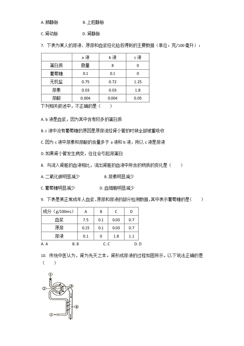 4.5人体内废物的排出 课件+教案+练习  人教版七年级生物下册02