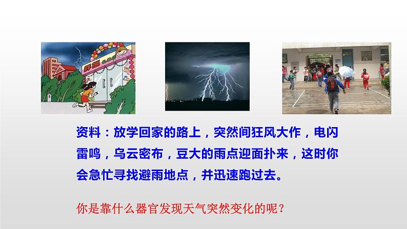 4.6.1 人体对外界环境的感知 课件+教案+练习  人教版七年级生物下册02