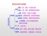 4.6.1 人体对外界环境的感知 课件+教案+练习  人教版七年级生物下册