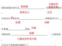 初中生物人教版 (新课标)七年级下册第二节 神经系统的组成公开课课件ppt