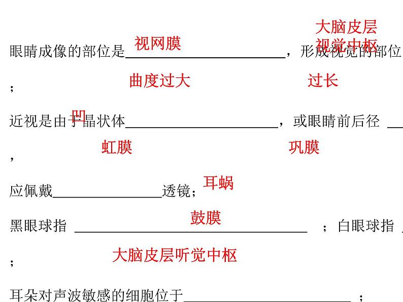 4.6.2 神经系统的组成 课件+教案+练习  人教版七年级生物下册01