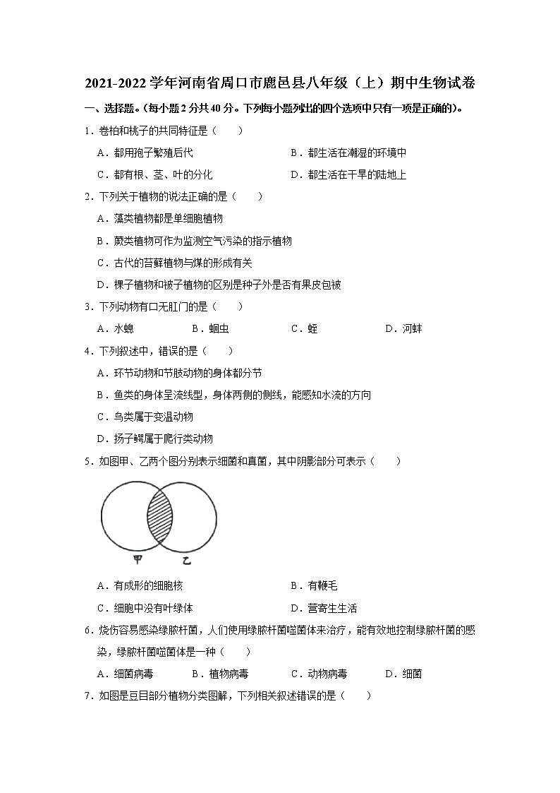 河南省周口市鹿邑县2021-2022学年八年级上学期期中生物试题（Word版含答案）01