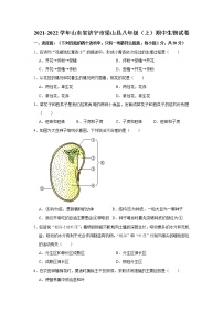 山东省济宁市梁山县2021-2022学年上学期八年级期中生物试卷（Word版含答案）