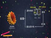 人教版（新课标）八年级生物下册：7.2.5《生物的变异》课件