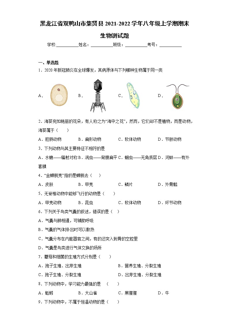 黑龙江省双鸭山市集贤县2021-2022学年八年级上学期期末生物测试题（word版 含答案）01
