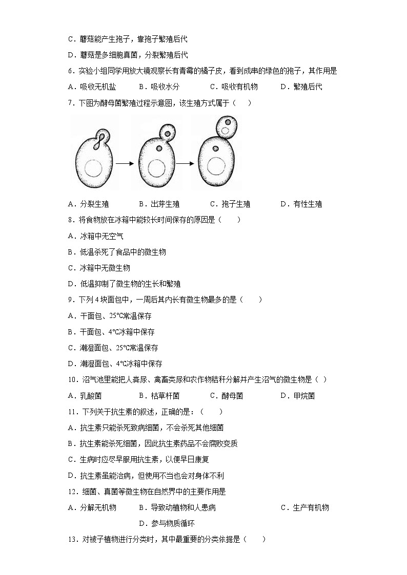 吉林省四平市铁西区2021-2022学年八年级上学期期末生物试题（word版 含答案）02