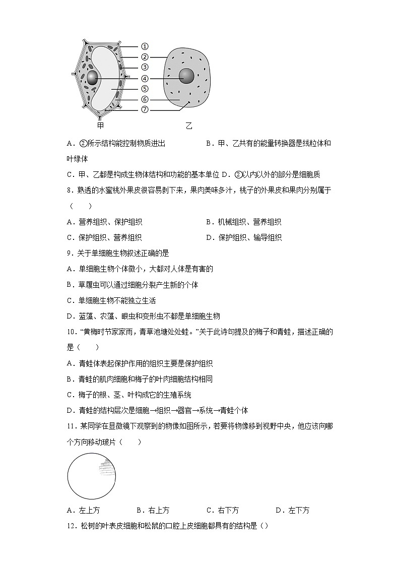 安徽省滁州市定远县育才学校2021-2022学年七年级上学期期中生物试题（word版 含答案）第2页