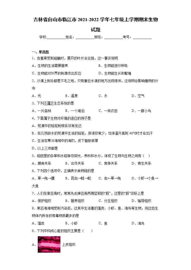 吉林省白山市临江市2021-2022学年七年级上学期期末生物试题（word版 含答案）01