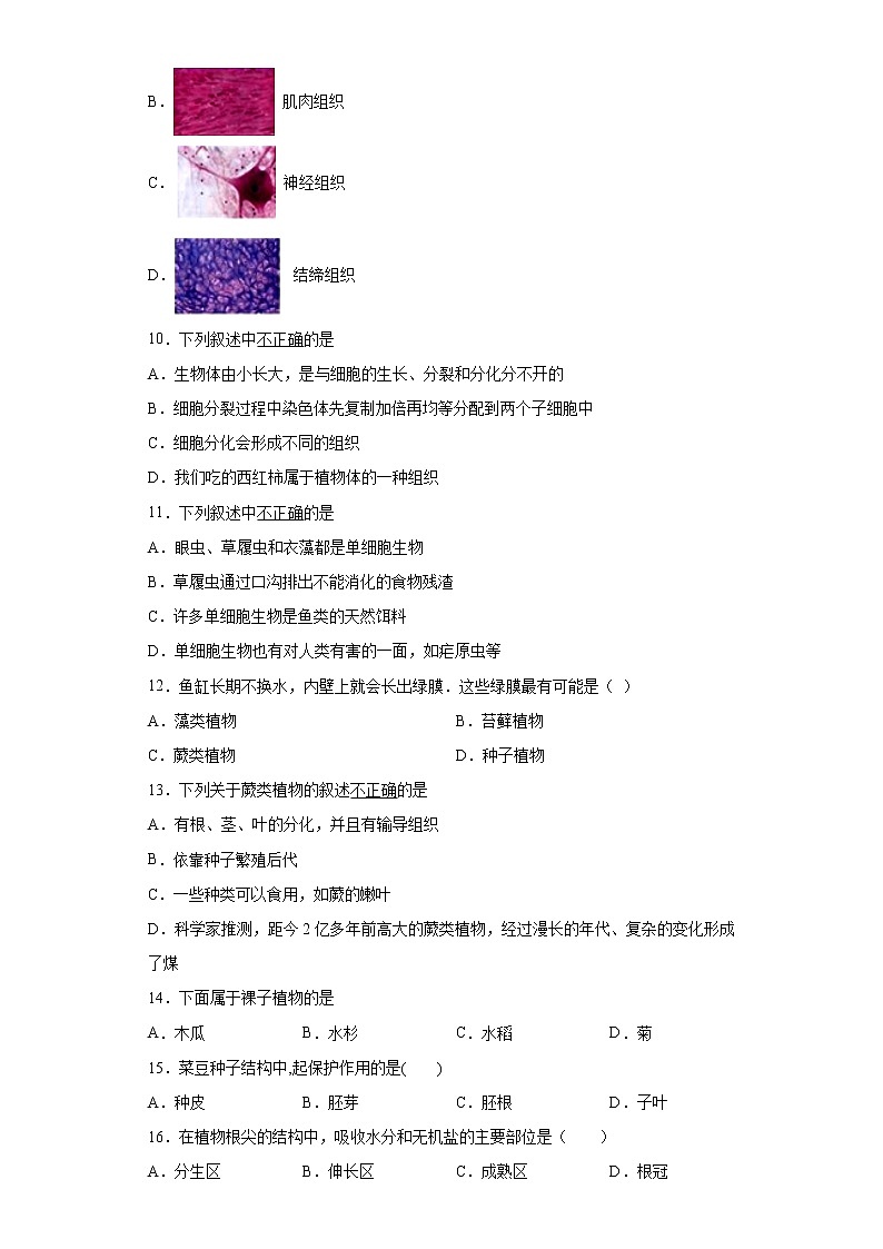 吉林省白山市临江市2021-2022学年七年级上学期期末生物试题（word版 含答案）02