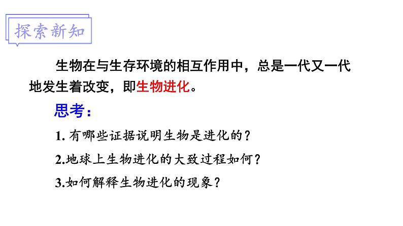 北师大版八年级生物下册 第21章 第2节 第1课时 生物进化的证据和历程 课件03