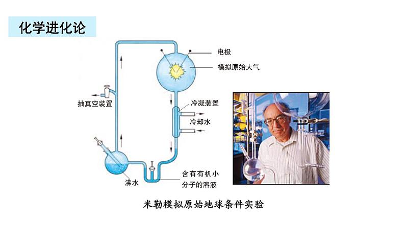 北师大版八年级生物下册 第21章 章末复习 课件08