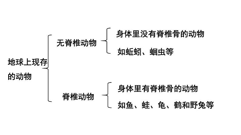 1第1课时 腔肠动物、扁形动物、线虫动物、软体动物第8页