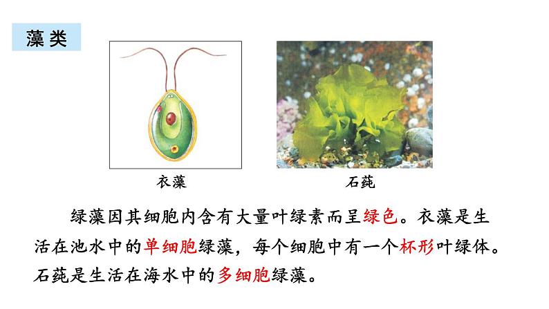 北师大版八年级生物下册 第22章 章末复习 课件第6页