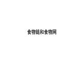 北师大版八年级生物下册 第23章 第3节 第1课时 食物链和食物网 课件