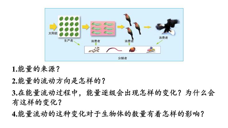 北师大版八年级生物下册 第23章 第3节 第2课时 生态系统的能量流动和物质循环 课件07