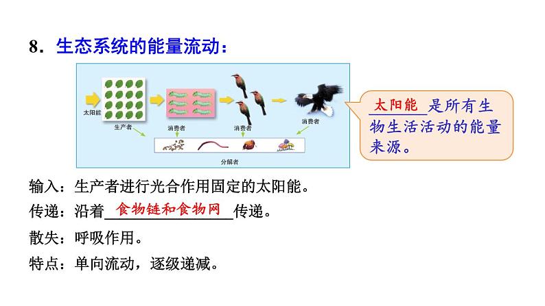 北师大版八年级生物下册 第23章 本章小结 课件第6页