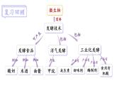 北师大版八年级生物下册 第25章 章末小结 课件