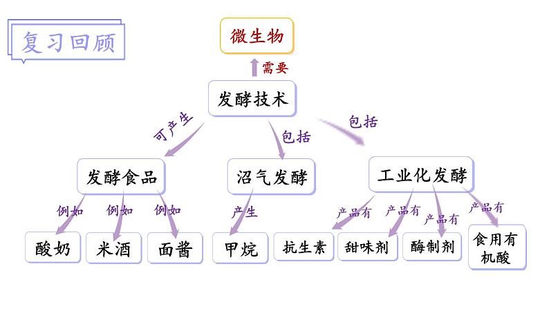 北师大版八年级生物下册 第25章 章末小结 课件02