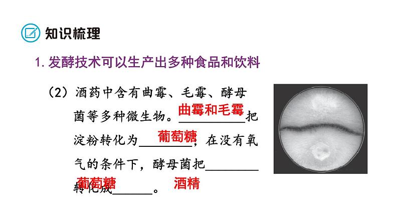 北师大版八年级生物下册 第25章 章末小结 课件04