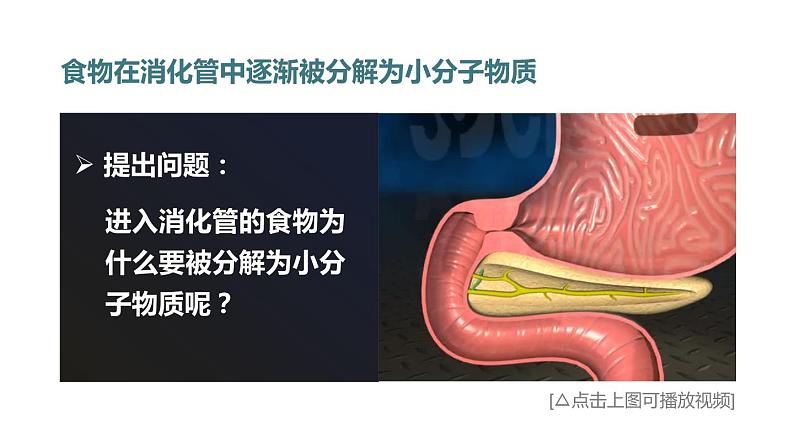 1第1课时 消化系统的组成 食物在口腔内的消化第7页