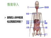 北师大版七年级生物下册 第8章 第2节 第2课时 食物在胃和小肠内的消化 营养物质的吸收 课件