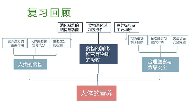 北师大版七年级生物下册 第8章 章末复习 课件02