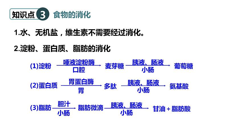 北师大版七年级生物下册 第8章 章末复习 课件06