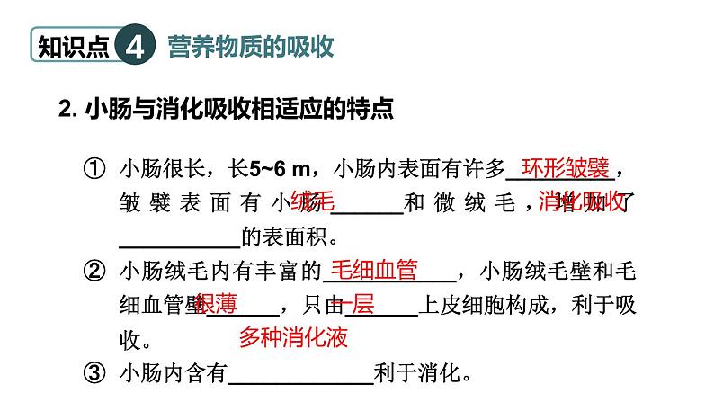 北师大版七年级生物下册 第8章 章末复习 课件08