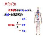 北师大版七年级生物下册 第9章 第2节 第1课时 血管和心脏 课件