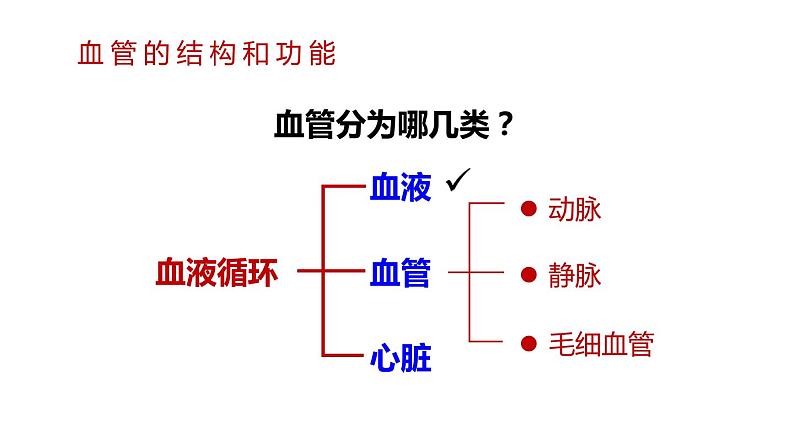 1第1课时 血管和心脏第6页