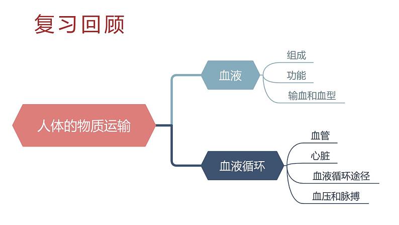 北师大版七年级生物下册 第9章 章末复习 课件第2页