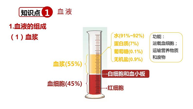 北师大版七年级生物下册 第9章 章末复习 课件第3页