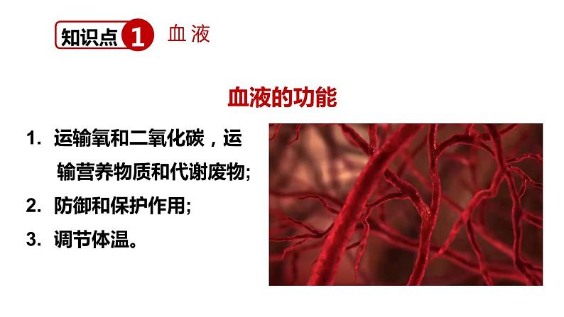 北师大版七年级生物下册 第9章 章末复习 课件第5页