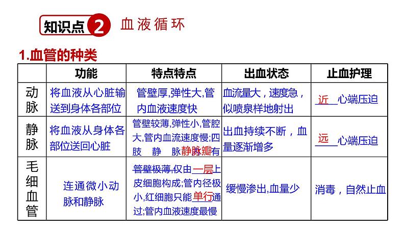 北师大版七年级生物下册 第9章 章末复习 课件第8页