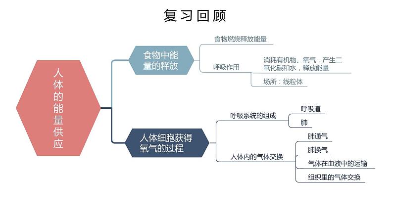 北师大版七年级生物下册 第10章 章末复习 课件02