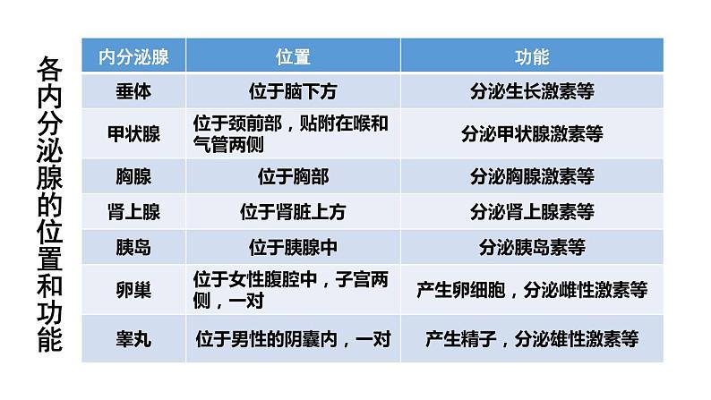 北师大版七年级生物下册 第12章 第3节 激素调节 课件第6页