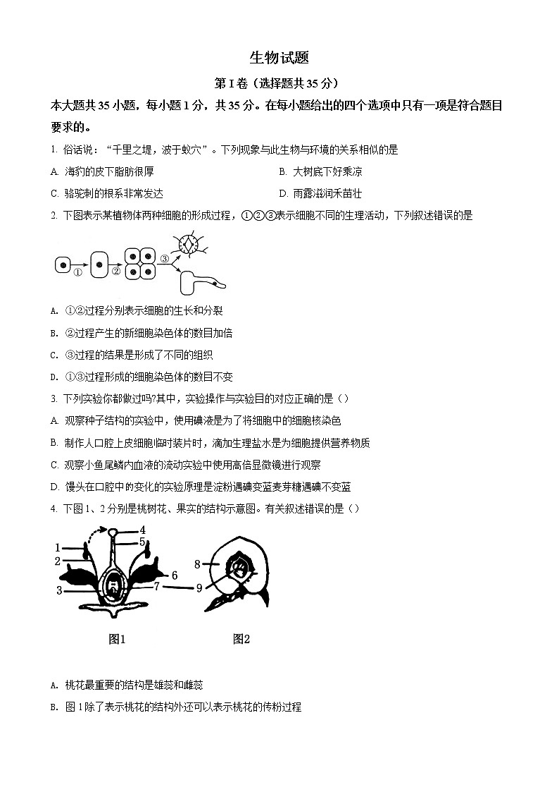 精品解析：2021年山东省青岛市崂山区中考一模生物试题（解析版+原卷版）01