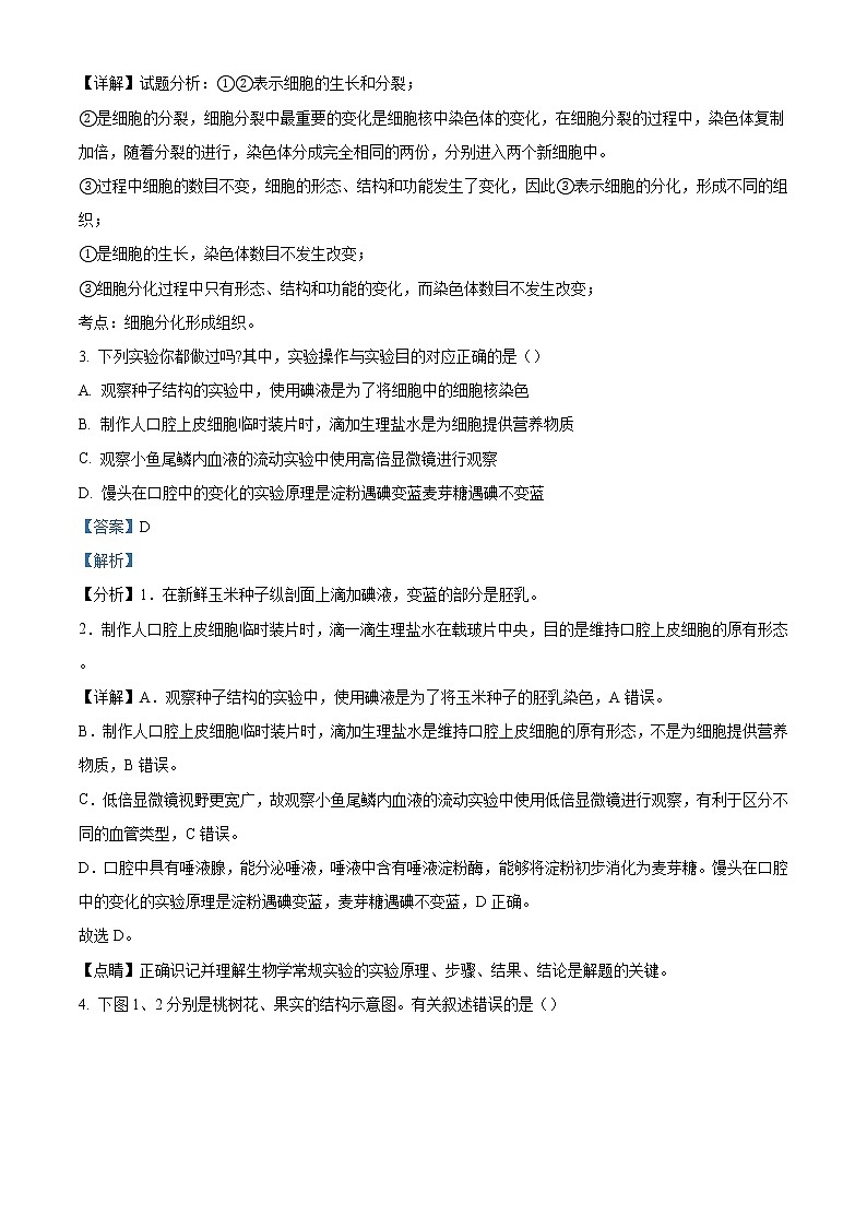精品解析：2021年山东省青岛市崂山区中考一模生物试题（解析版+原卷版）02