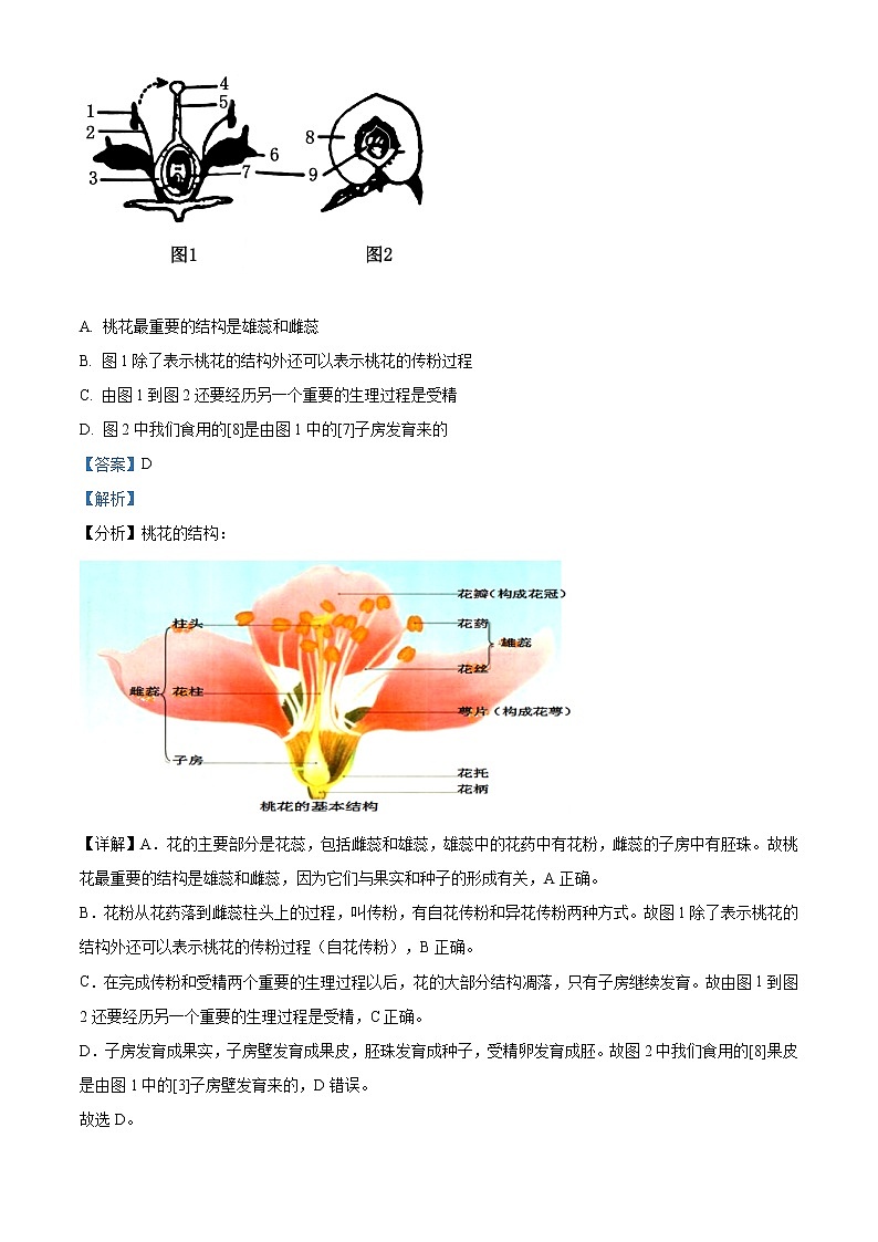 精品解析：2021年山东省青岛市崂山区中考一模生物试题（解析版+原卷版）03
